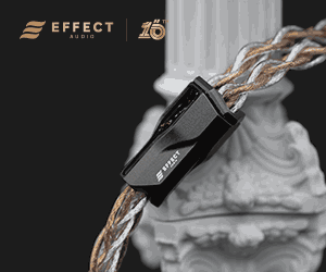 Effect Audio Standard Banner (Till 31/05/21)