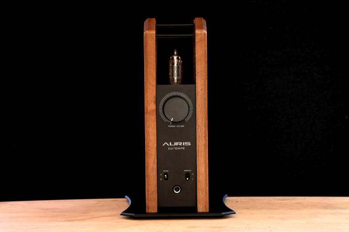 Auris euterpe top