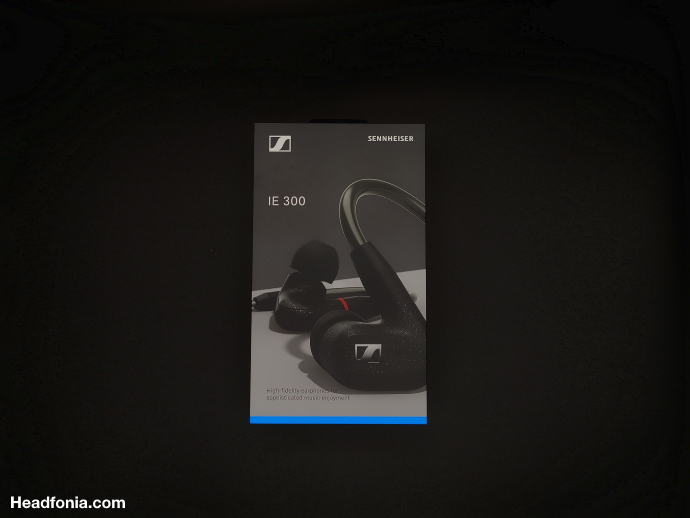 Sennheiser IE 300 Review - Headfonia Reviews