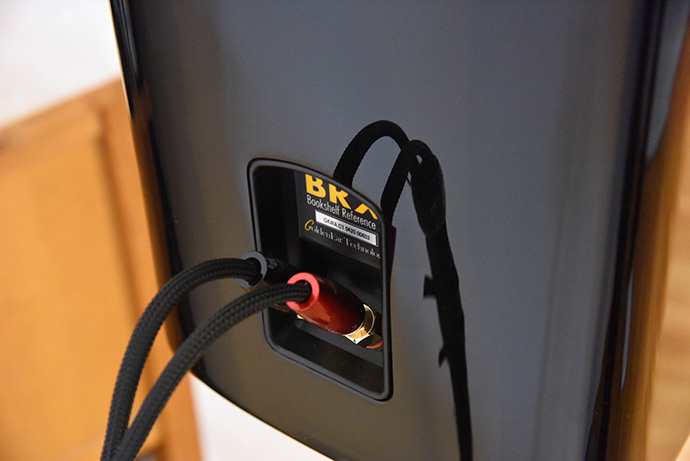 GoldenEar BRX
