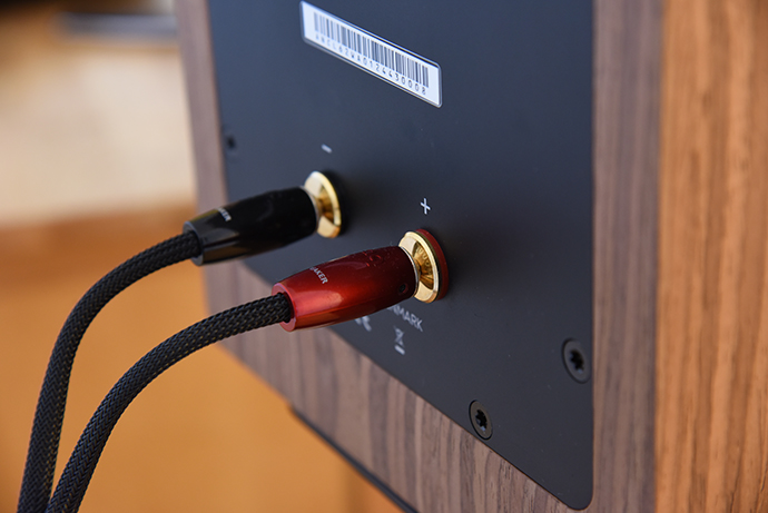 Radiant Acoustics Clarity 6.2