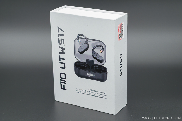 FiiO LINK TWS Review - Headfonia
